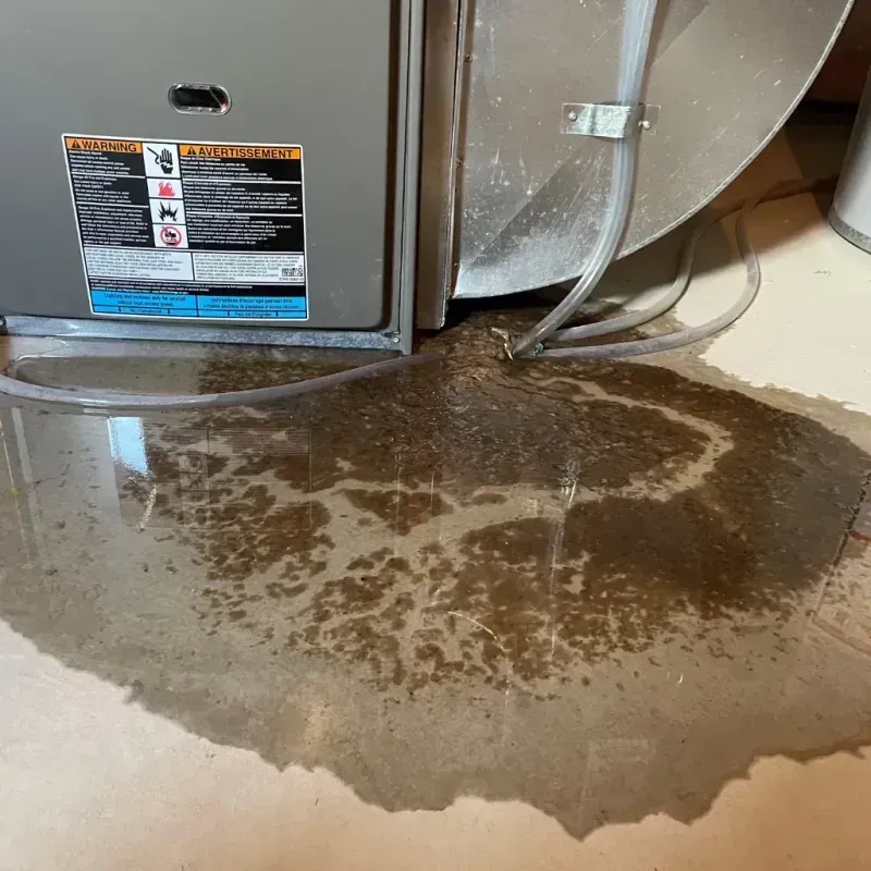 Appliance Leak Cleanup in Missaukee County, MI